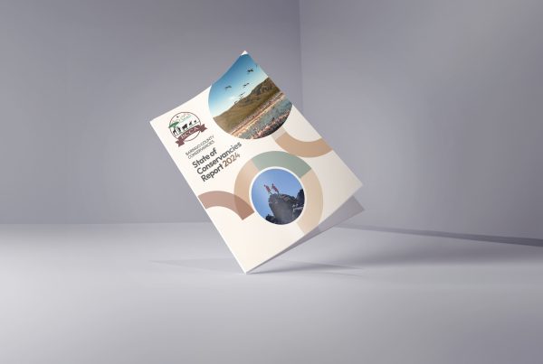 Basecamp Explorer Foundation Kenya ANNUAL REPORT