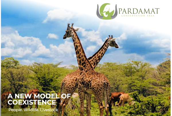 A new Model of Coexistence