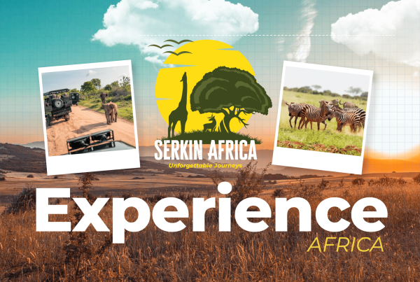 Serkin Africa Safaris